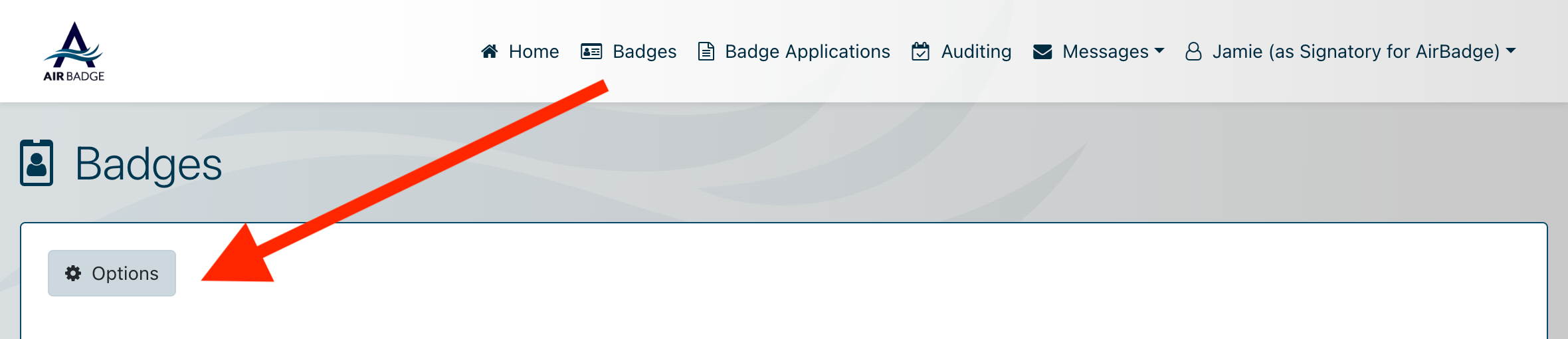 options button on the badges screen