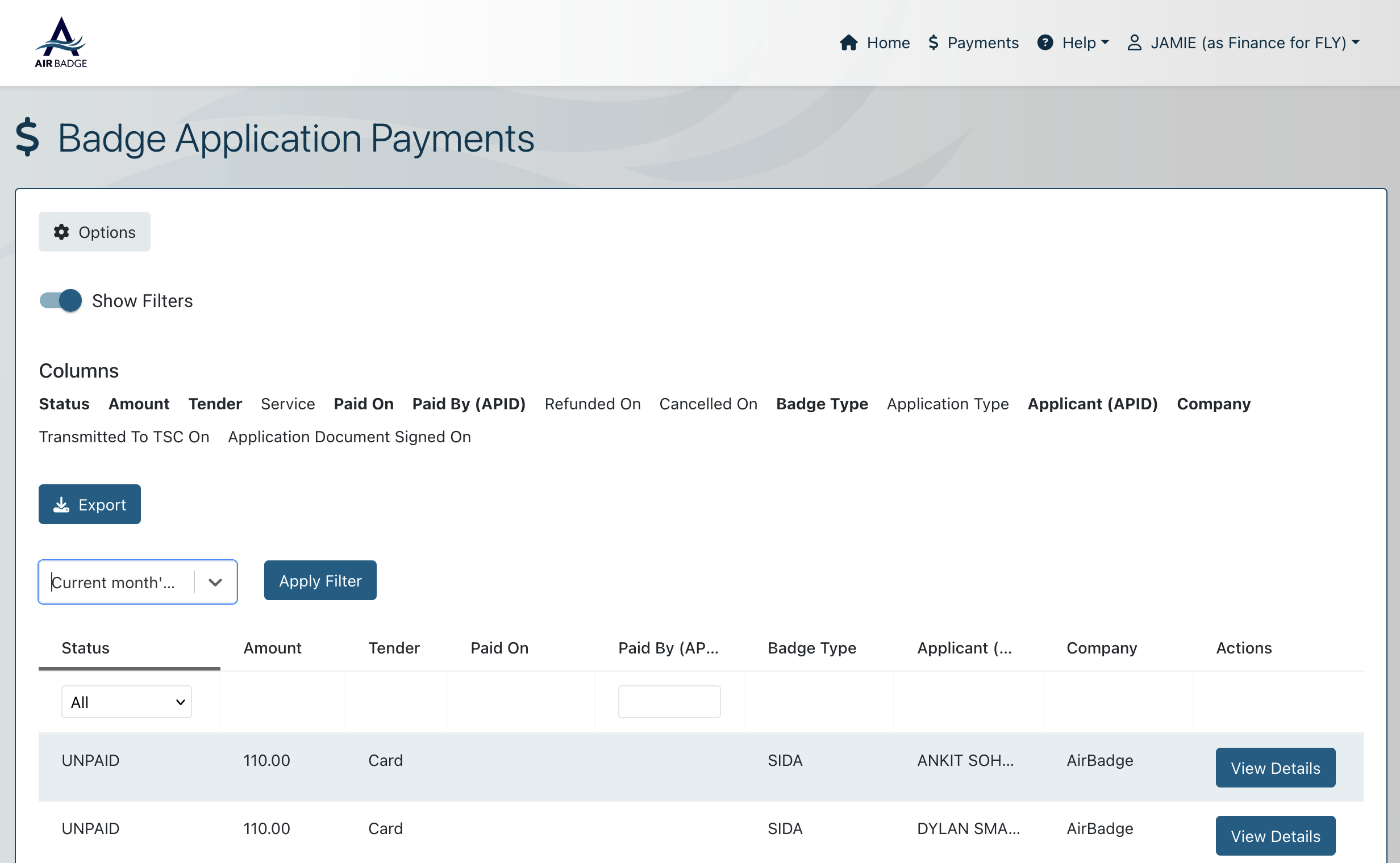 screenshot of finance role
